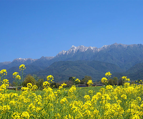 天行大理推薦優(yōu)秀線(xiàn)路分類(lèi)