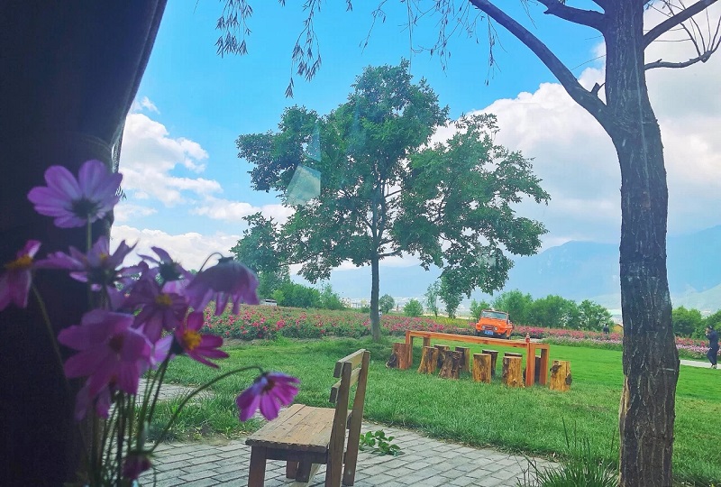 大理會(huì)議會(huì)展活動(dòng)