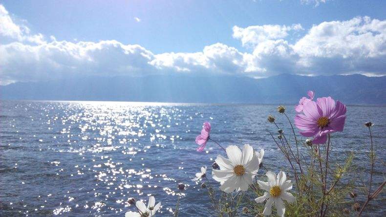 天行大理沖心智夏令營課程能對青少年心智發(fā)展的幫助哪些？