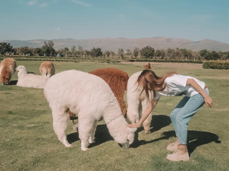 大理古城邊的彩虹農(nóng)場(chǎng)太太太美啦?。?！