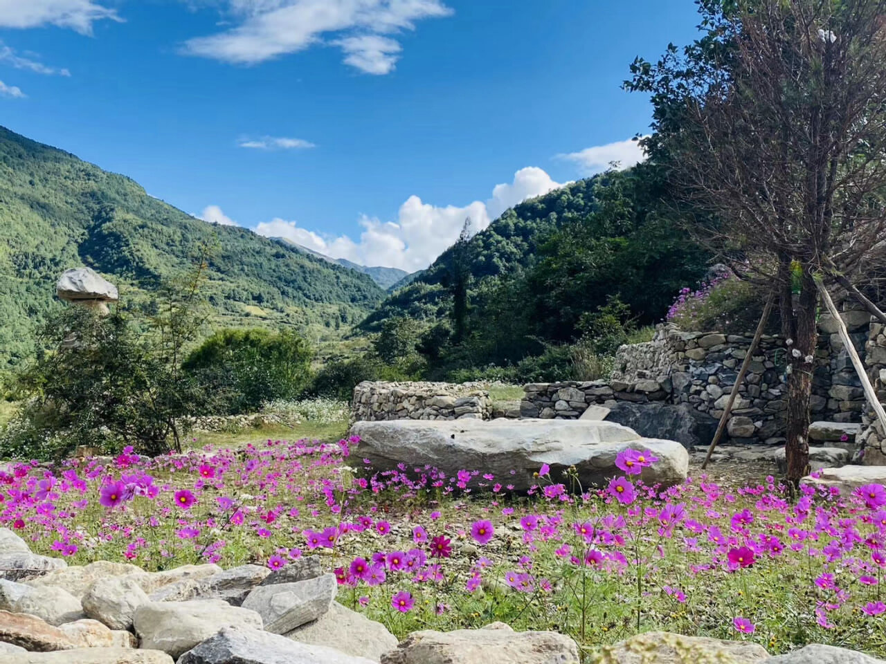 大理洱源鳳羽稻田劇場(chǎng)