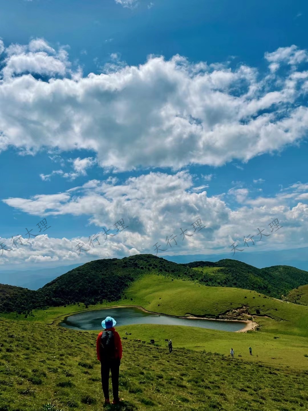 大理洱源鳥吊山徒步露營