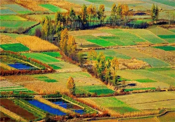 秋風乍起，和大理鳳羽小鎮(zhèn)來一場相擁