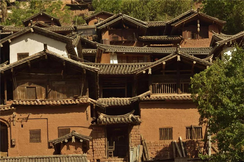 鄉(xiāng)愁大理丨諾鄧大青樹下，宿進青蔥歲月，眺望巨木蒼天