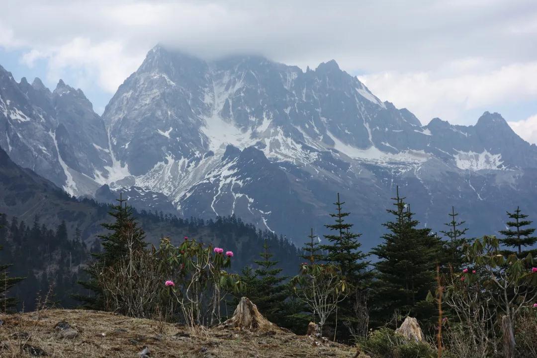 在大理，我找到了真正的森林 大理旅游攻略