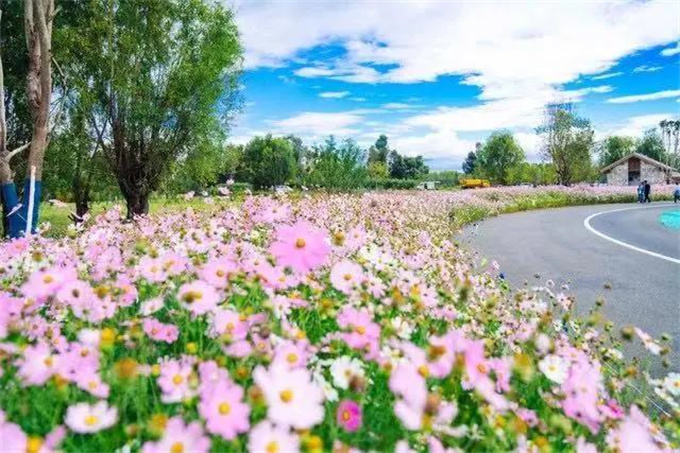 洱海生態(tài)廊道，不見不散