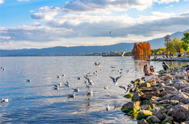 【美麗大理】冬天的洱海生態(tài)廊道，美出新高度