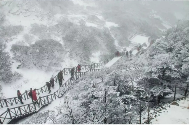 蒼山的風(fēng)花雪月！簡(jiǎn)直美到讓人尖叫！