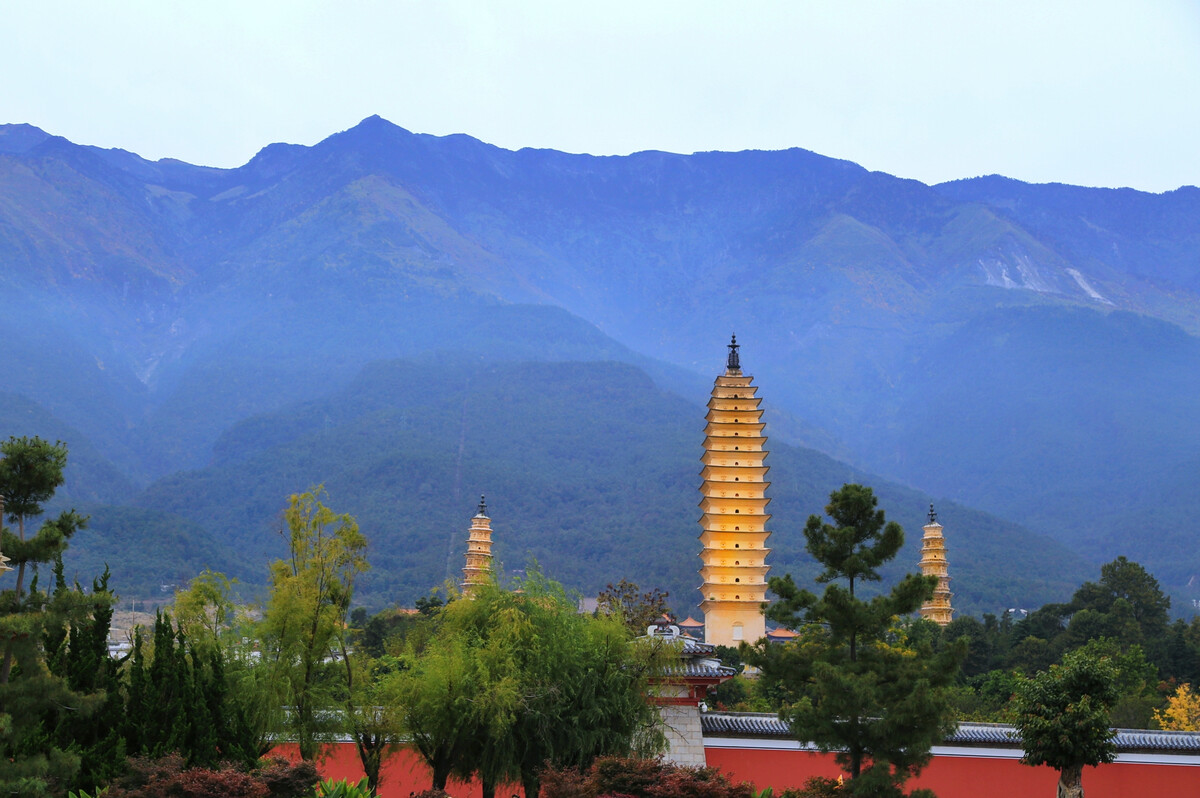 大理傳媒公司：蒼山西坡杜鵑花開(kāi)成海，絕不辜負(fù)你賞春的心意！