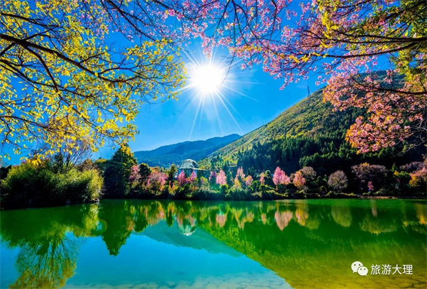 愛(ài)情集市、民間歌舞、洞經(jīng)音樂(lè)……去蝴蝶會(huì)邂逅獨(dú)屬于大理的浪漫