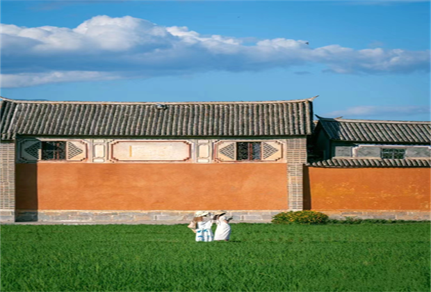 今日份的好心情，是喜洲稻田給的