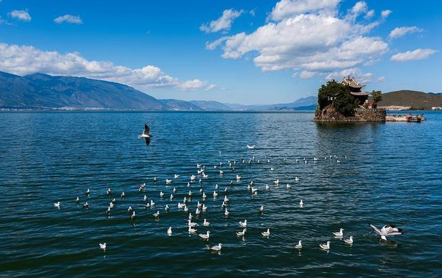大理會(huì)務(wù)公司：大理秋日美食圖鑒！這份“貼秋膘”指南快收藏！