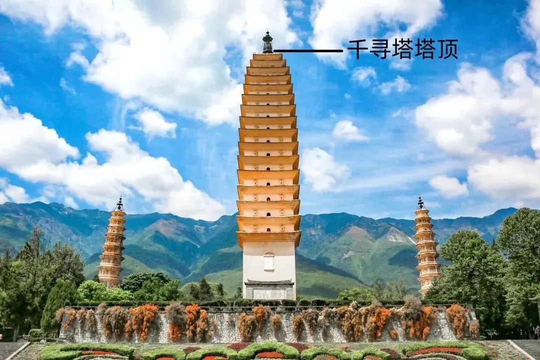 大理策劃公司：最大理：金翅鳥(niǎo)